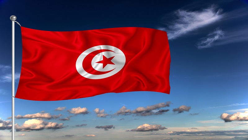 丹麥 VS 突尼西亞｜突尼西亞國旗