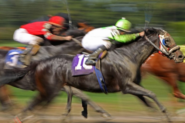 賽馬比賽技巧公開：如何提高中獎率？